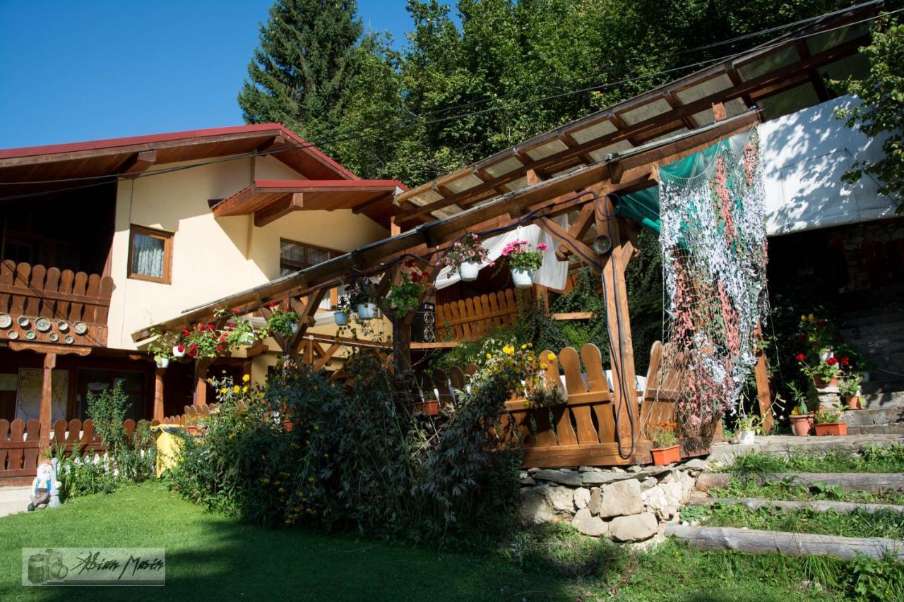 Cabana Suprema Armonie Dâmbovicioara Bagian luar foto